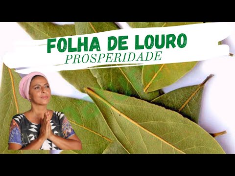 FOLHA DE LOURO – DINHEIRO NA CARTEIRA